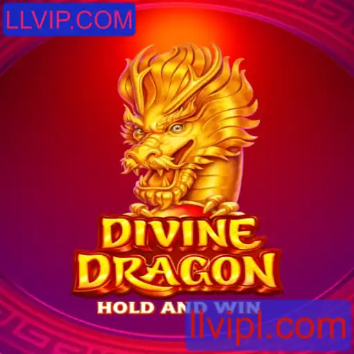 Explorando o Universo de DivineDragon